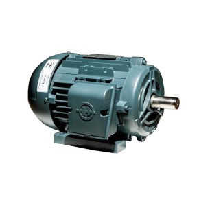 Motor 100 4P (Bx Rotação) 2Cv Monofasico Ip 55 (Blindado) 60Hz